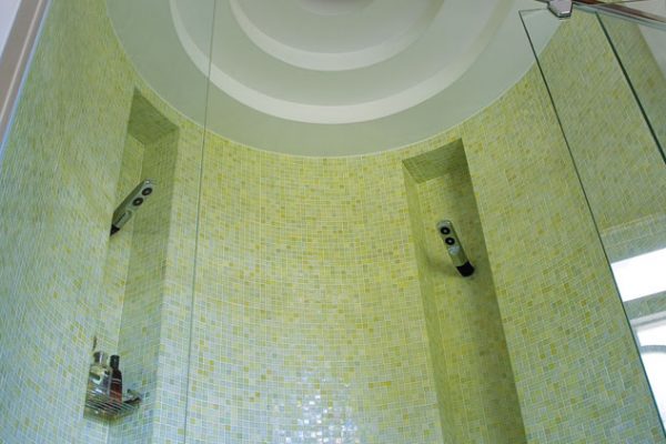 Shower Detail